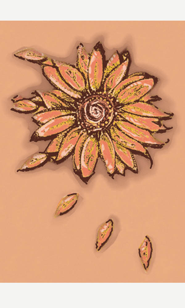 Sunflower on Organic Cotton Ladies Tee